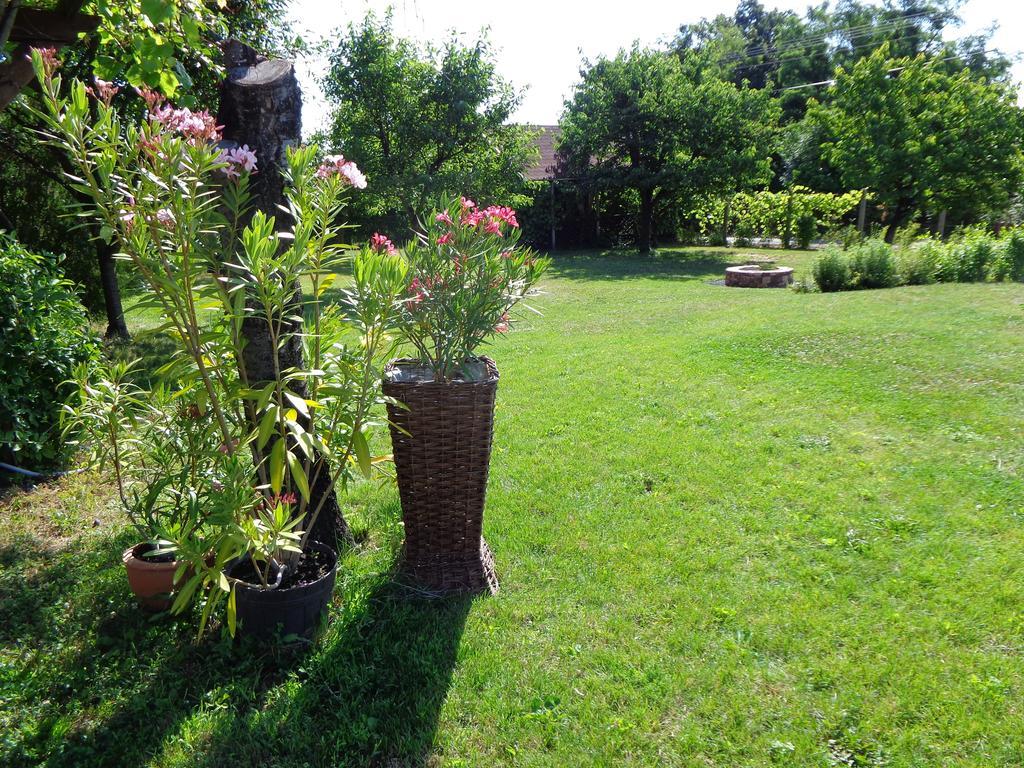 Fülöp Villa Apartmanház Balatonszepezd Kültér fotó